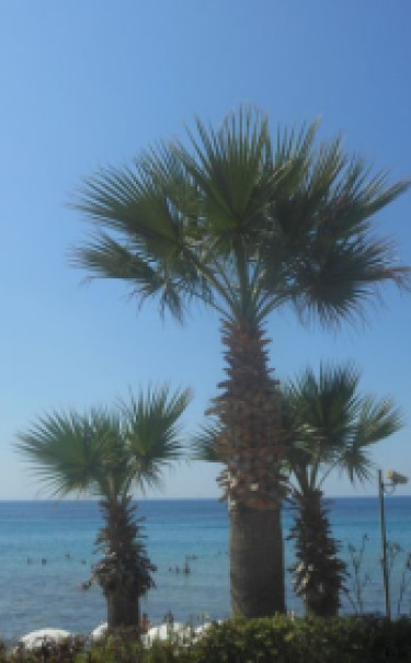 Kusadasi, popularny kurort na egejskim wybrzeżu Turcji