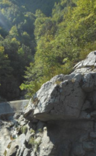 Zielony kanion Enipeas w górach Olimpu.